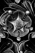 Wall_Art_Alphabet_Photography_Art_ 1651